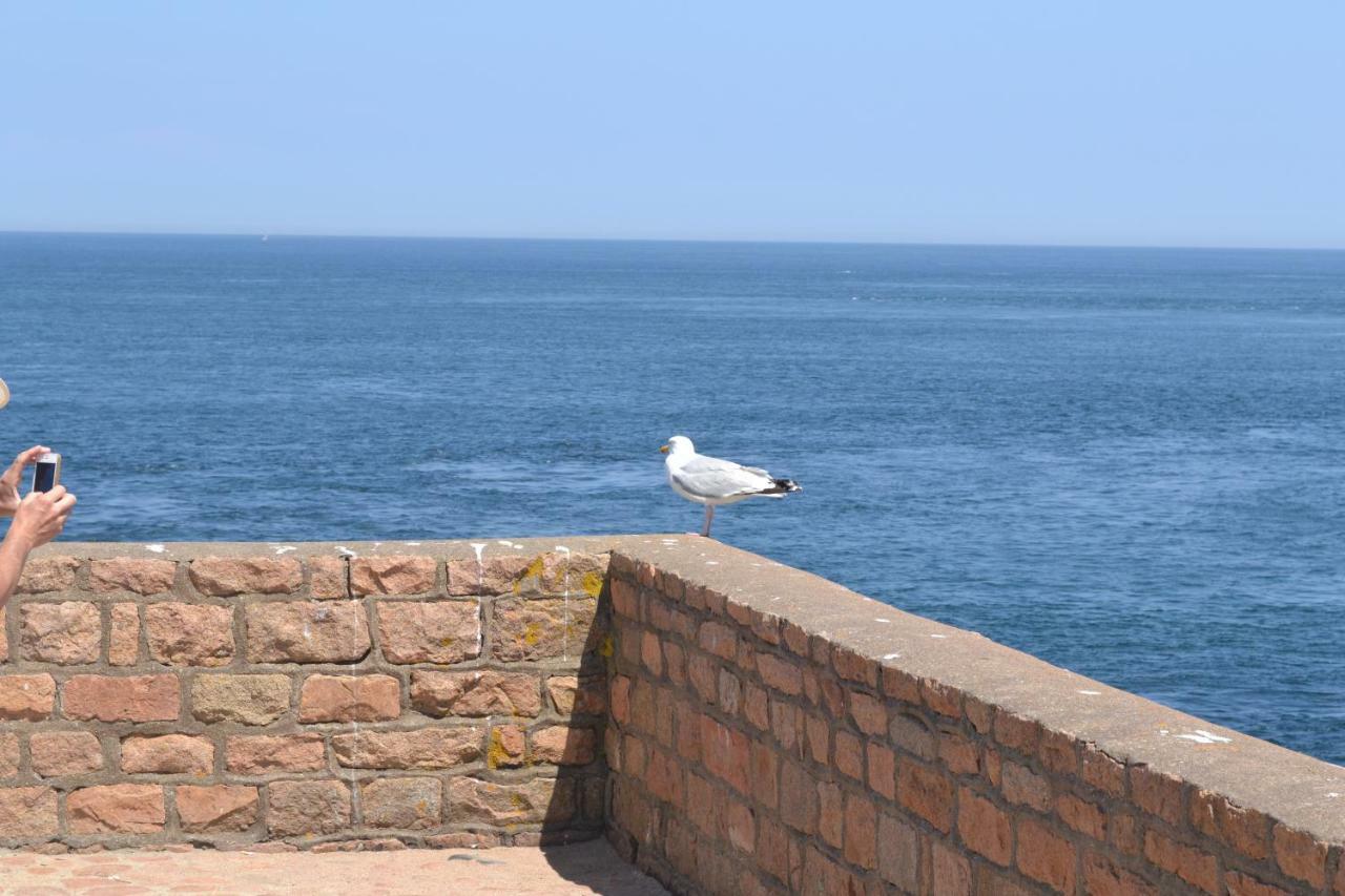 Gite De La Mer Sur Le Port De Plaisance De Lezardrieux Bretagne Zewnętrze zdjęcie