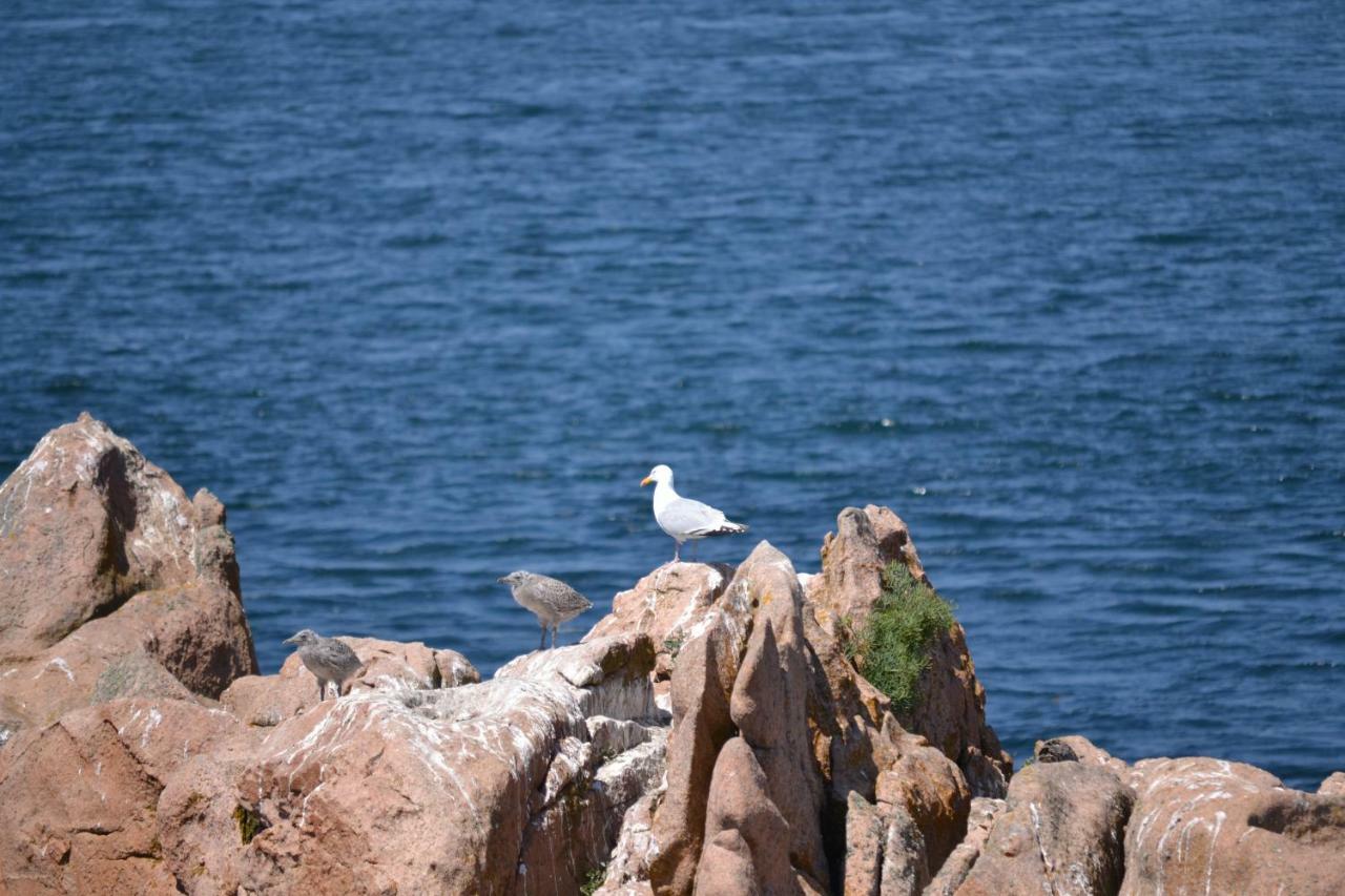 Gite De La Mer Sur Le Port De Plaisance De Lezardrieux Bretagne Zewnętrze zdjęcie